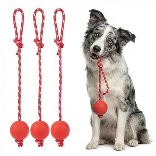3 Pack Dog Ball on a Rope, Durable Elastic Solid Rubber Chew Toys for Dogs | Small Medium Large Dogs Fetching Catching Throwing Interactive Fetch Tugging Jumping Balls for Play and Training (Medium)