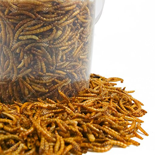 GardenersDream Dried Mealworms Mix - Wild Bird Food Large Variety (10L Tub)