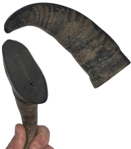 Ace Antlers Buffalo Horn for Dogs (XL 300-400g Piece) - Natural, Long-Lasting Dog Buffalo Horn Chews for Chewing Satisfaction - 3 Sizes inc Large, XL and XXL