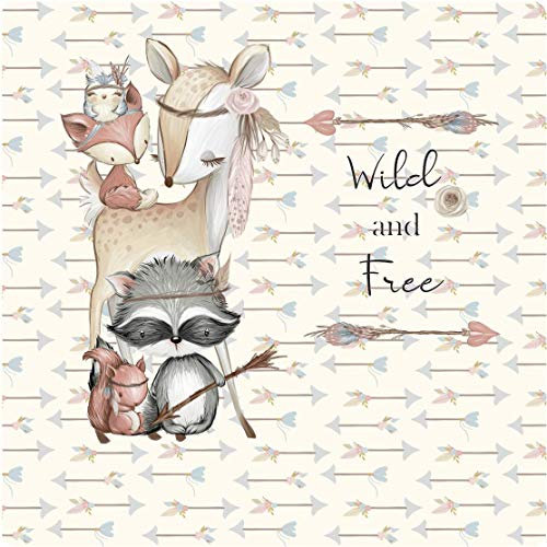 Farbklecks Collection - Schutzfolie passend für Toniebox – Indianergeschichte Family