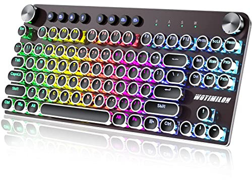 Wireless Typewriter Keyboard Mechanical TKL, 2.4G/BT5.0/Wired WM87 Retro Vintage Gaming Keyboard Typewriter Style with Punk Round Keycaps True RGB Backlit and 2 Control Knobs, Clicky Switch, Win/Mac