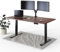 DESKSPACE PRO Elektrisch höhenverstellbarer Schreibtisch - 160x80cm Mahagoni Tischplatte, Ergonomischer Stehpult mit Memory Funktion & Kollisionschutz, Schwarzes elektrisches Gestell mit Ladebuchse