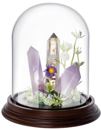PH PandaHall 13x14cm Cloche Dôme en Verre avec Base en Bois Dôme Décoratif en Verre Transparent pour Le Stockage des Fleurs Décoration de Fête à Domicile