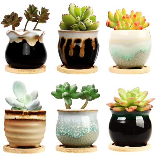 Pot de fleurs en céramique 6,3 cm avec égouttage, pots de fleurs, petits pots de fleurs pour jardin, cactu, pot de succulent, mini pots de fleurs avec trous, base de vernis en céramique