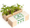 Resetea | Kit de plantation | Mini Potager | Herbes aromatiques | Persil, basilic et coriandre