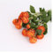 Fasksh Künstliche Ranunkeln mit echtem Stiel, 40,6 cm, Seidenranunkel, 18 Köpfe (6 Stück) (Farbe: Orange)