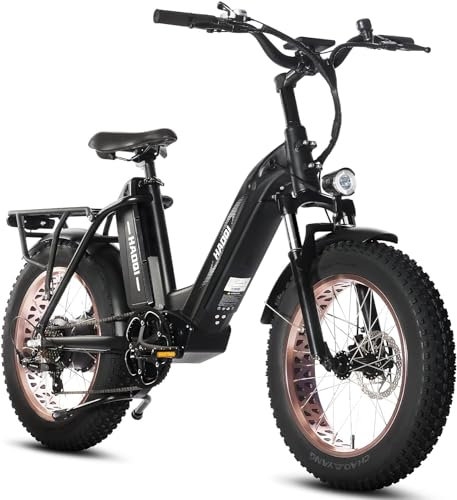 HAOQI Antelope Cargo Elektrofahrrad, 250W E-Bike mit 48V 25Ah herausnehmbarem Doppelakku, geländegängiges 20 x 4 Fat Tire Elektrofahrrad, bis zu 25km/h, Vorderradfederung, E-Bike, 400lbs Nutzlast