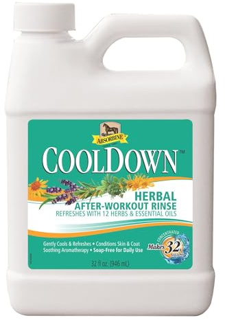 Absorbine Cool Down Waschlotion 946 ml