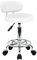 KKTONER PU Leather Modern Rolling Stool with Low Back Height Adjustable Work Salon Drafting Swivel Task Chair with Footrest (White)
