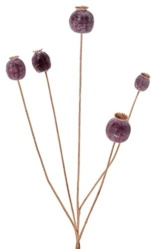 artplants.de Mohnkapsel künstlich FILOMELA, Dunkelbraun, 75cm - Kunst Mohnkapsel