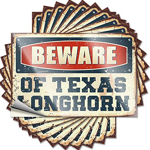 Auto-Aufkleber für Männer, Vorsicht vor Texas Longhorn, lustiger Aufkleber, 10 Stück Aufkleber für Auto, Auto-Aufkleber und Aufkleber (Größe: 6 x 9 cm)