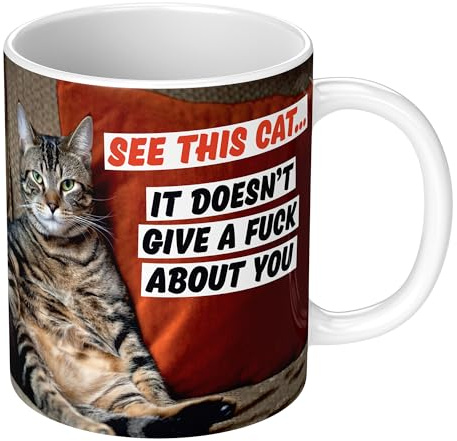 See This Cat. It Doesn't Give a F*** About You Rude 11oz Ceramic Mug