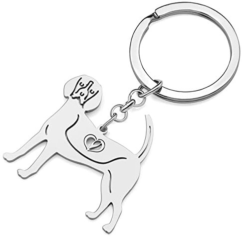 RAIDIN Edelstahl 18K Gold Silber Plattiert Süße Schlüsselanhänger Hund Schlüsselring für Damen Mädchen Geschenke Auto Geldbeutel Schlüssel Zubehör (Silber-088 Beagle)