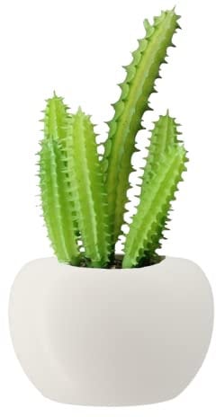 B Plant Succulent Magnets - Whiteboard & Fridge Decorative Magnets (1PCS)