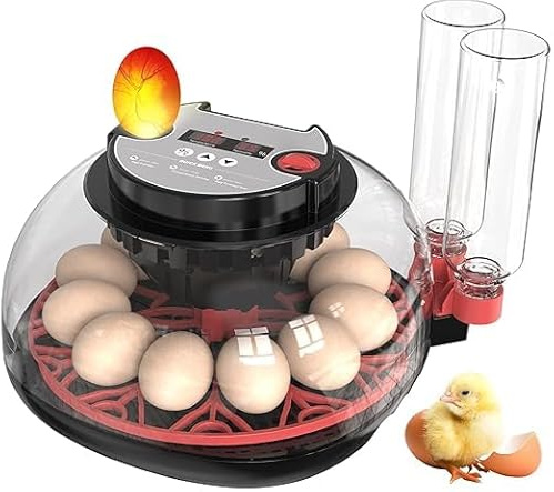 brutautomat vollautomatisch, Inkubator für 12 Eier mit automatischer Umdrehung von Eiern und automatischer Befeuchtung, Inkubator für Hühnereier, Wachtel, Ente mit Eierlampe