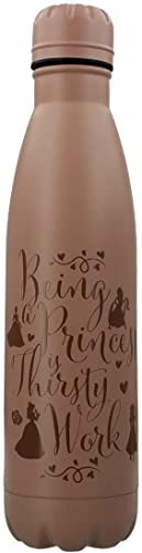 Disney Princess Stainless Steel Water Bottle | Keeps Your Drinks Cold for Hours