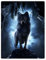Violetpos 150 x 200 cm Flanell Decke Weich Fleecedecke Kuscheldecken SanftBettüberwurf Wolf Im Wald Blitz