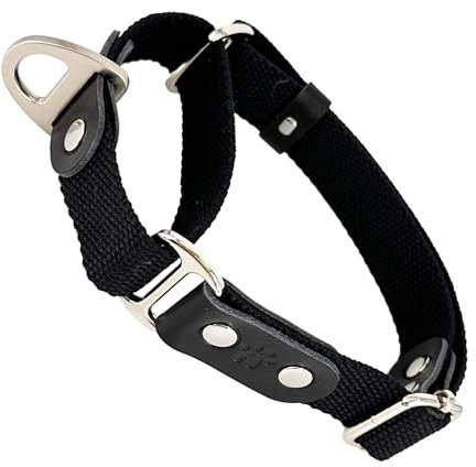 Martingalhalsband Hundewürgehalsband, Anti-Zug, Poly-Baumwolle und Leder. XS. Schwarz & Schwarz