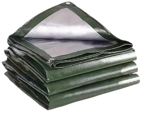 WAJJWI Zeltplane Plane Grün Silber Regenschutz Baldachin Markise Block Auto wasserdichte Plane Markise Camping Angeln Sonnenschirm(2x3.0m)