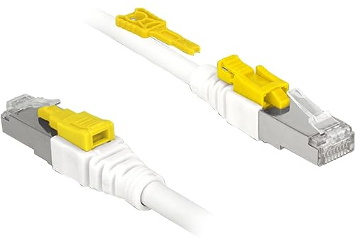 Delock Kabel RJ45 Secure Cat.6A 1 m