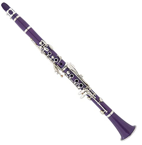 Für Studenten, Erwachsene, Anfänger Musikinstrument Klarinette Lila Klarinette Anfänger Klarinette