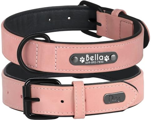 Didog Soft PU Leather Padded Custom Dog Collar with Personalized Nameplate and D Ring, Engraved Dog Collars for Small Medium Large Dogs,Pink,S