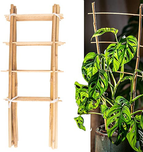Avalution 10 Pack Natural Bamboo Trellis for Climbing Plants 16 Outdoor Garden Ladder Trellis, Fan -Shaped Plant Support Trellis for Potted Plant