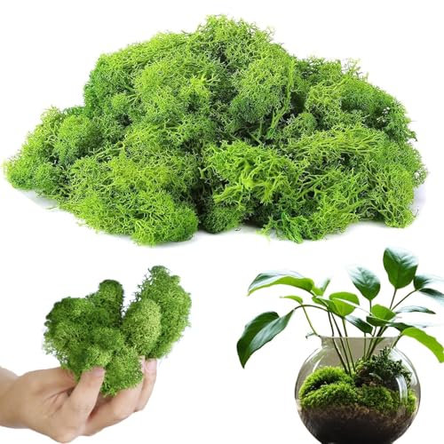 Kunstmoos zum Basteln, 150g Künstliches Moos zum Dekorieren, Deko Moos zu Ostern, Kunstmoos