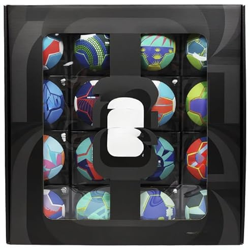 NAEM Footballs (16 pc Set)
