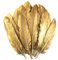 15-20 cm Lot de 50 Plumes d'oie Naturelles dorées pour décoration de Mariage, Ailes d'ange et Artisanat de fées