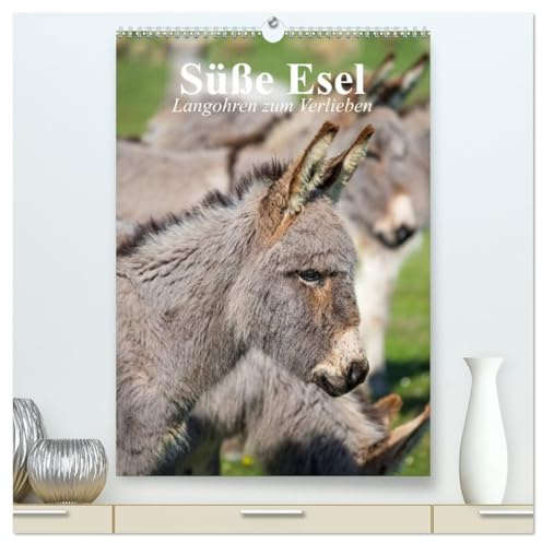 Süße Esel. Langohren zum Verlieben (hochwertiger Premium Wandkalender 2026 DIN A2 hoch), Kunstdruck in Hochglanz: Langohrige Sturköpfe im grauen Kuschelfell (CALVENDO Tiere)