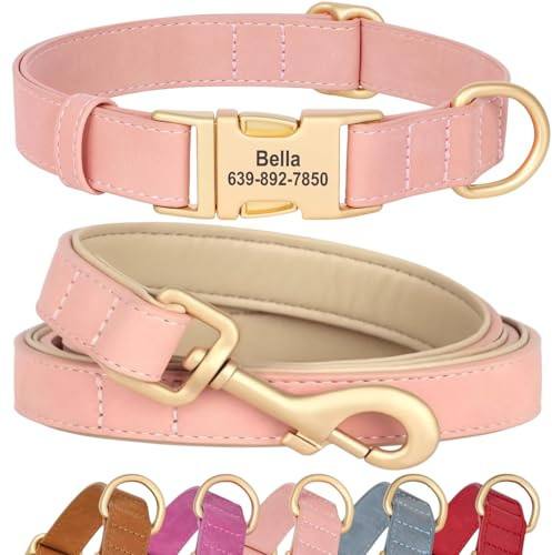 SEOUGEE Hundehalsband und Leine, personalisierbar, weiches PU-Leder, verstellbare und langlebige Haustierhalsbänder mit Schnellverschluss-Metallschnalle für kleine Hunde (S, Rosa, Set 25–35 cm)