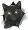Winston & Bear Adhesivos 3D gato gatito negro - 2 Pack - Stickers para la pared, nevera