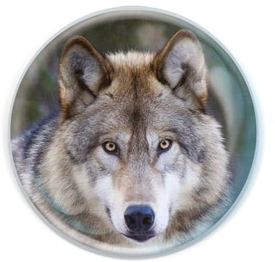 Deluxebase Magnidome - Wolf Wolf Kristallglas Kühlschrank Magnet für Kinder. Hervorragende gewölbte Magnete für Wohndekoration und Zubehör