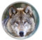 Deluxebase Magnidome - Wolf Wolf Kristallglas Kühlschrank Magnet für Kinder. Hervorragende gewölbte Magnete für Wohndekoration und Zubehör