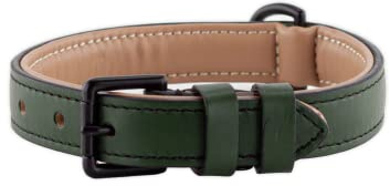 Brute Strength – Hundehalsband aus Leder – Dunkelgrün – M · 36–43 cm | Weich gepolstertes Echtleder-Halsband für Hunde; Messingschnalle, D-Ring und separater Ring für die Hundemarke
