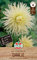 Sperli 267297 Dahlie White Star (1 Stück) (Dahlienknollen)