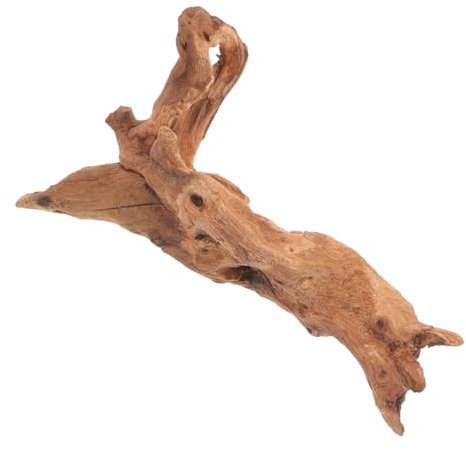 Toddmomy Bois coulé pour Aquarium Décoration Aquarium Decoration Nature décor en Bois daquarium décor daquarium de Racine darbre décorations en Bois Mort Artisanat en Bois Mort Naturel