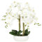 Ligne Déco - Orchidées Artificielles Blanches - Décoratif - Élégant - Tendance Déco - Fleurs Artificielles - Durable - Entretien Facile - Plante Artificielle Intérieur - Polyester Et Plastique - 55cm