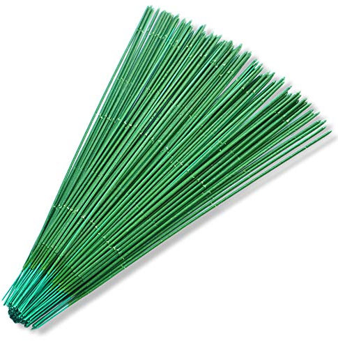 Roucerlin 100 Stück hochwertige Drahtstiele zum Basteln und für Blumenarrangements, 30,4 cm, 1,02 mm dick, Dunkelgrün