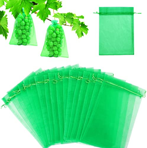 Traubenschutzbeutel 20x 30cm, 60 Stücke Organzasäckchen Kordelzug Organzabeutel Organza Säckchen Netz für Weintrauben, Garten Netzbeutel Schutz vor Kirschessigfliege Wespen and Vögeln (Grün)