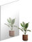QEEYON Frameless Glass Wall Mirror Tiles, 40 cm x 30 cm HD Self Adhesive Mirrors Stick on Wall with Removable Stickers for Home Decoration, Living room, Hallway, Bedroom, Bathroom, Makeup