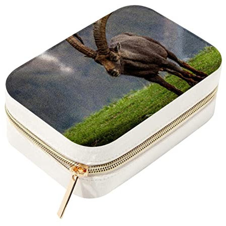 Tolle Ibex of the Alpen Reise-Schmuckschatulle, kleine Organizer, Aufbewahrungsboxen für Frauen und Mädchen