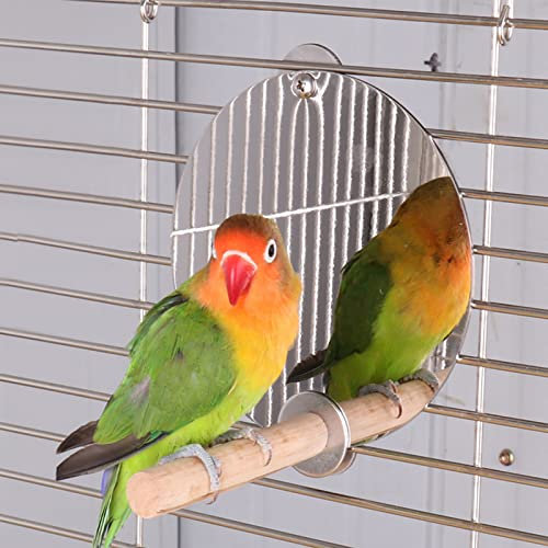 Yuehuamech Vogelspiegel mit Holzbarsch Edelstahl Vogelkäfig Spiegel Haustier Spiegel Standing Rod Swing Papagei Käfig Spielzeug für Budgies Cockatiel Cockatiel Kegel Lovebirds