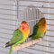 Yuehuamech Vogelspiegel mit Holzbarsch Edelstahl Vogelkäfig Spiegel Haustier Spiegel Standing Rod Swing Papagei Käfig Spielzeug für Budgies Cockatiel Cockatiel Kegel Lovebirds