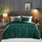 Freyamy Housse de Couette Flanelle 200x200cm Vert foncé Gris Peluche Parure de lit 2 Personne Velours Hiver Chaude avec Fermeture Éclair Sherpa Linge de lit Réversible avec 2 Taie d'oreiller 65 x 65cm