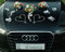 BUCHSBAUM Auto Schmuck Braut Paar Rose Deko Dekoration Autoschmuck Hochzeit Car Auto Wedding Deko Ratan Girlande PKW (Rosa)