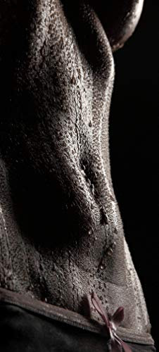 Bilderdepot24 Türtapete Frauenkörper mit Wasserperlen 90x200 cm - einteilig Türaufkleber Türfolie Türposter - Frau Körper Akt Erotik