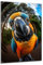 DARO Design - Wand-Bild auf 6mm HDF 70x50 cm Papagei Nahaufnahme - Wand-Deko Bilder Geschenk