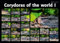 nature2arts Poster: Corydoras of the world I, groß